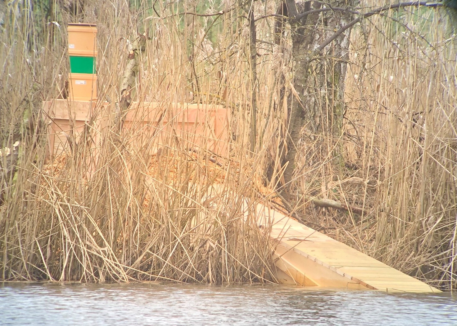 Behausung Biber Inkwilersee