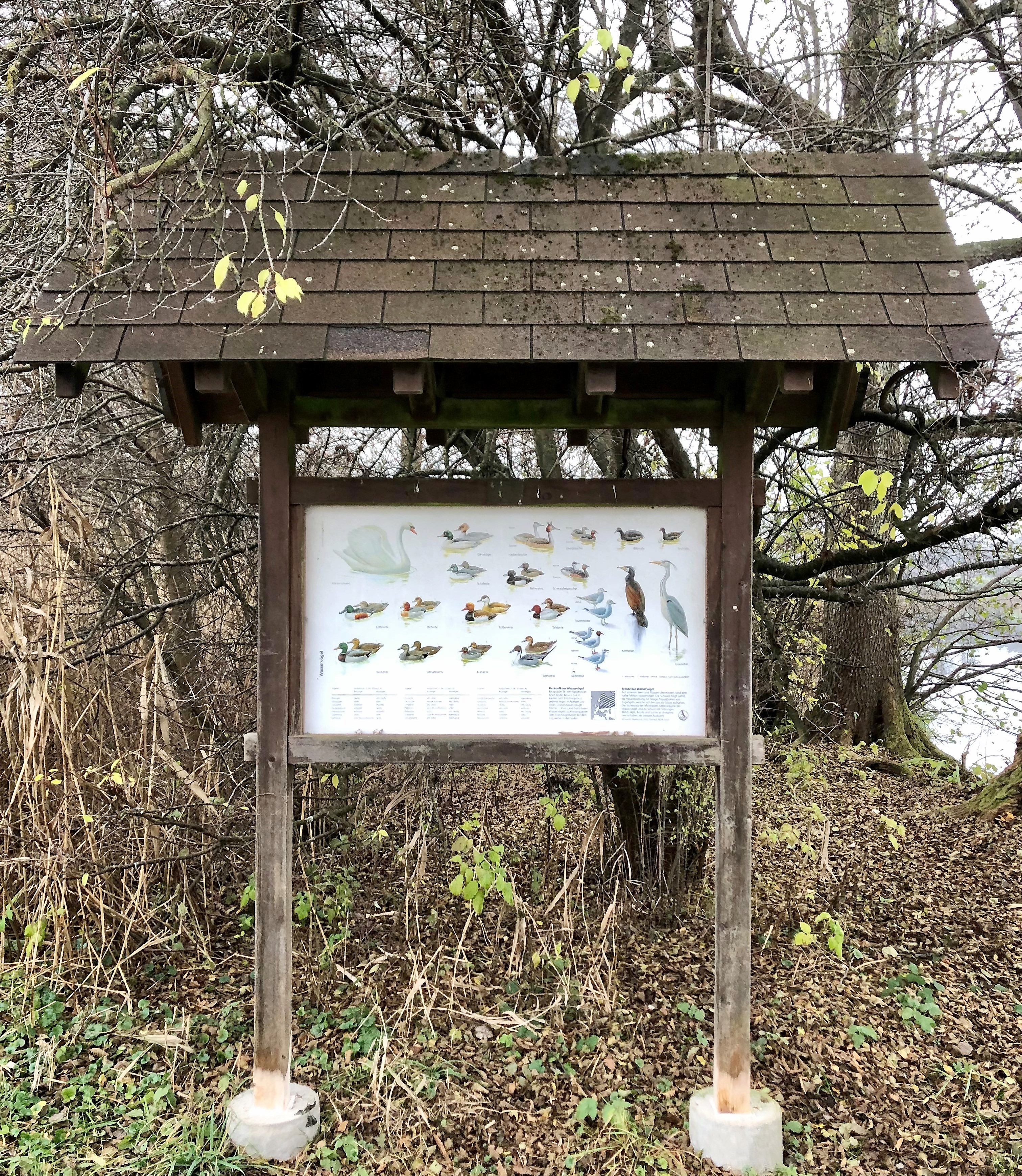 Informationstafel über Wasservögel
