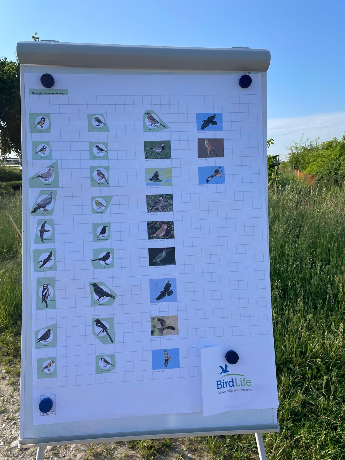 flipchart