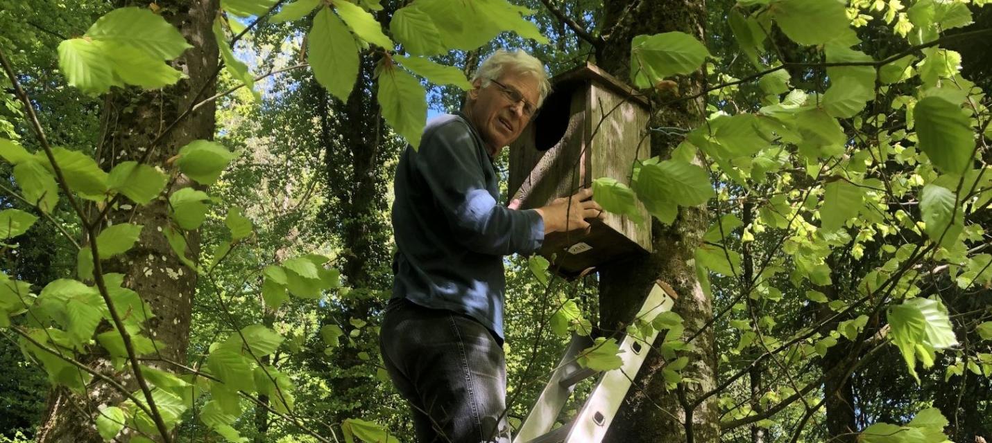 Roland auf Leiter
